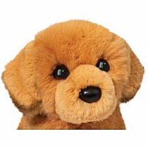 AUGUST GOLDEN RETRIEVER