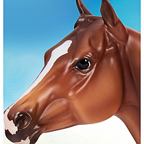 BREYER APOLLITICAL JESS