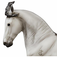 BREYER JAGUEL HILTON