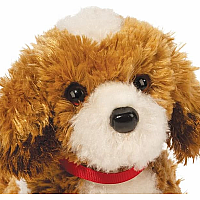 BUTTERCUP DOODLE MIX PUP SM