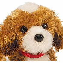 BUTTERCUP DOODLE MIX PUP SM