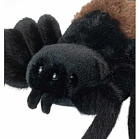 SNEAKIE SPIDER
