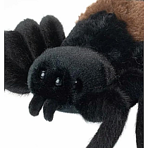 SNEAKIE SPIDER