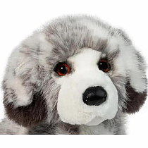 SKYLAR AUSSIE