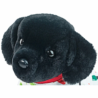 PJ PUP MED