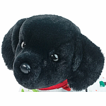 PJ PUP MED