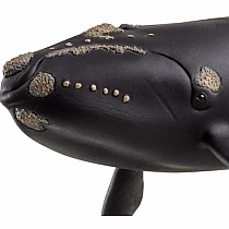 SCHLEICH RIGHT WHALE