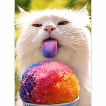 CAT LICKING SNOWCONE BDAY CARD