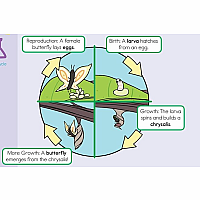 Summer Brain Quest: Between Grades 2 & 3