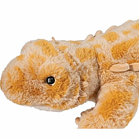 BOOGIE BEARDED DRAGON