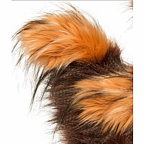 Douglas Ricardo the Rooster