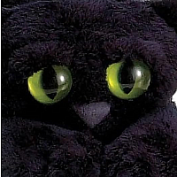 Lanky Cats Ziggie