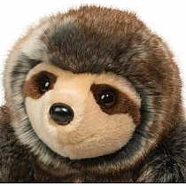 Douglas Sylvie Sloth
