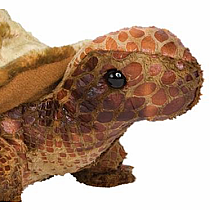 Speedy Tortoise 