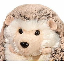 Spunky Hedgehog