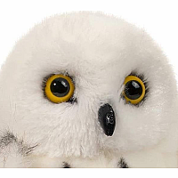 Wizard Snowy Owl
