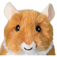 Brushy Hamster