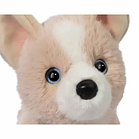 POOKIE POMSKY SOFT