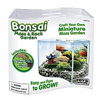 BONSAI MOSS & ROCK GARDEN TERRARIUM