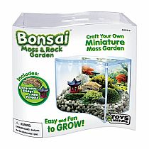 BONSAI MOSS & ROCK GARDEN TERRARIUM