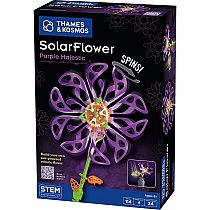 SOLARFLOWER PURPLE MAJESTIC