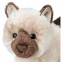 Hilda Himalayan Cat