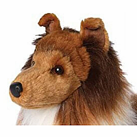 Whispy Sheltie