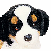 TREVOR BERNESE MTN DOG
