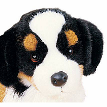 TREVOR BERNESE MTN DOG