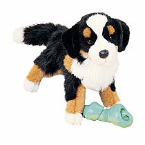 TREVOR BERNESE MTN DOG