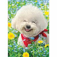 HAPPY WHITE DOG FRIENDSHIP CARD