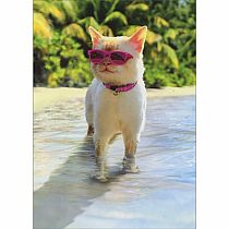 CAT ON THE BEACH BDAY CARD