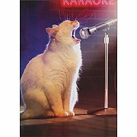 CAT W MICROPHONE BDAY CARD