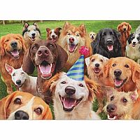 HAPPY DOGS BDAY PARTY CARD