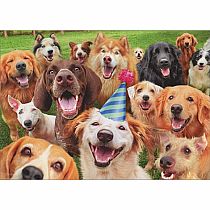 HAPPY DOGS BDAY PARTY CARD