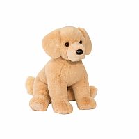 DENALI GOLDEN RETRIEVER