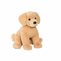 DENALI GOLDEN RETRIEVER