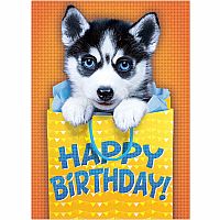 PHOTO HUSKY BDAY CARD