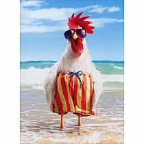 ROOSTER IN SWIMSUIT BDAY CARD