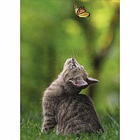 CAT W BUTTERFLY SUPPORT CARD