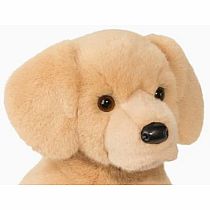 DENALI GOLDEN RETRIEVER
