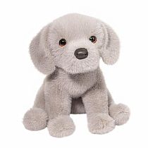 ARGENTO SILVER LAB PUP