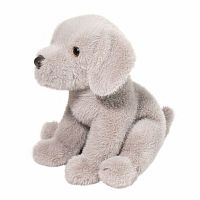 ARGENTO SILVER LAB PUP
