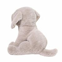 ARGENTO SILVER LAB PUP