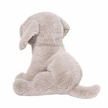ARGENTO SILVER LAB PUP