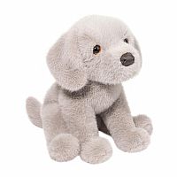 ARGENTO SILVER LAB PUP