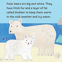 Hello, World! Arctic Animals --JILL MCDONALD