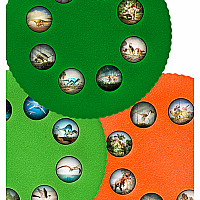 WONDER LIGHT DINOSAURS