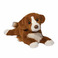 RUSH DUCK TOLLING RETRIEVER