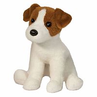 FIONA KACK RISSEL TERRIER